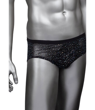 CalExotics Radiance Classic Briefs