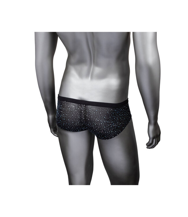 CalExotics Radiance Classic Briefs