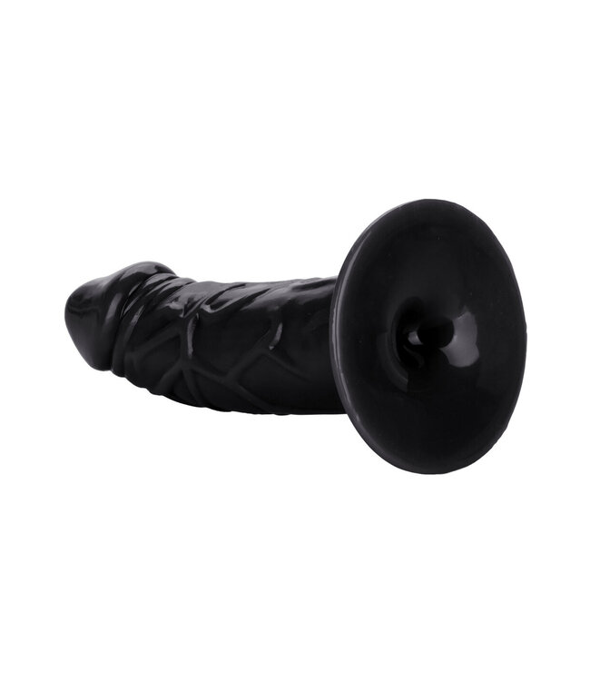 CalExotics Back End Chubby