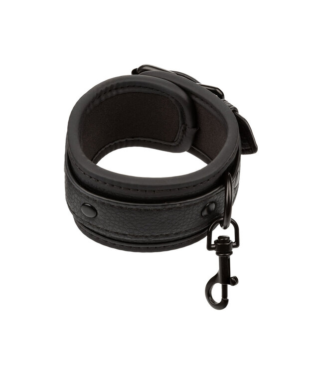 CalExotics Nocturnal Collection  Ankle Cuffs