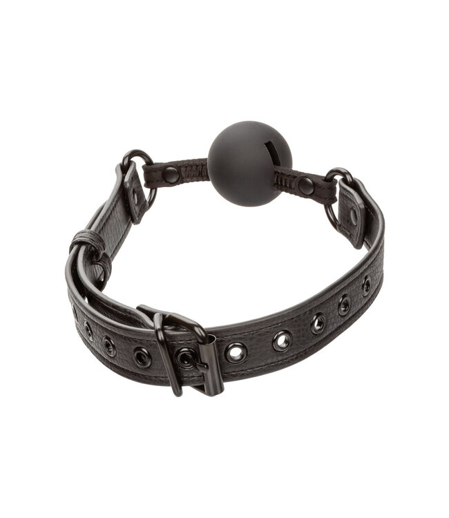 CalExotics Nocturnal Collection  Ball Gag