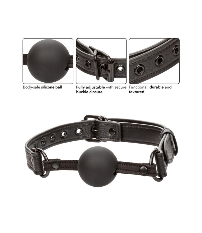 CalExotics Nocturnal Collection  Ball Gag
