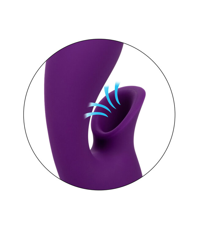 CalExotics California Dreaming Huntington Beach Heartbreaker