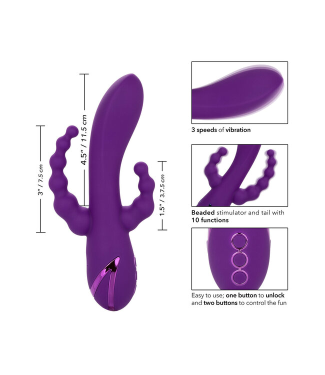 CalExotics California Dreaming Long Beach Bootylicious