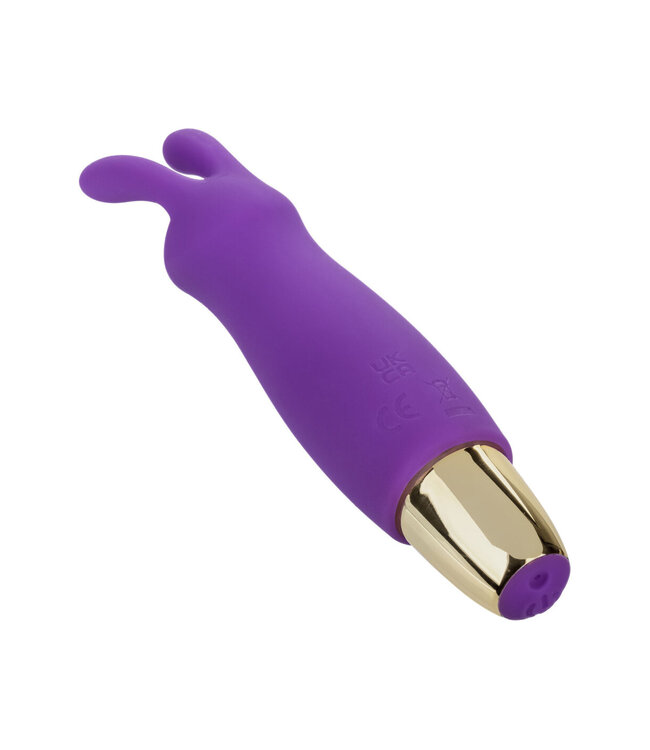 CalExotics Slay #BuzzMe