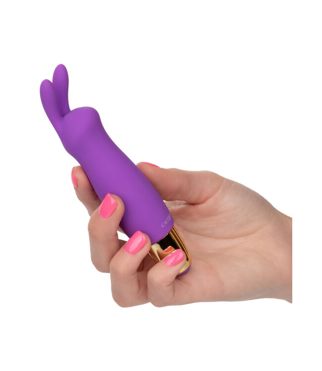 CalExotics Slay #BuzzMe