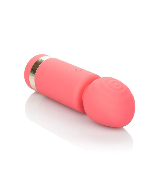 CalExotics Slay #ExciteMe