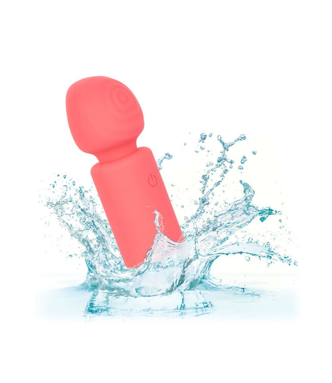 CalExotics Slay #ExciteMe