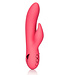 CalExotics California Dreaming San Francisco Sweetheart