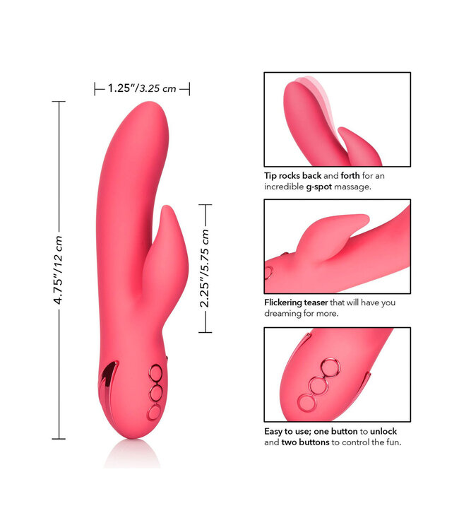 CalExotics California Dreaming San Francisco Sweetheart