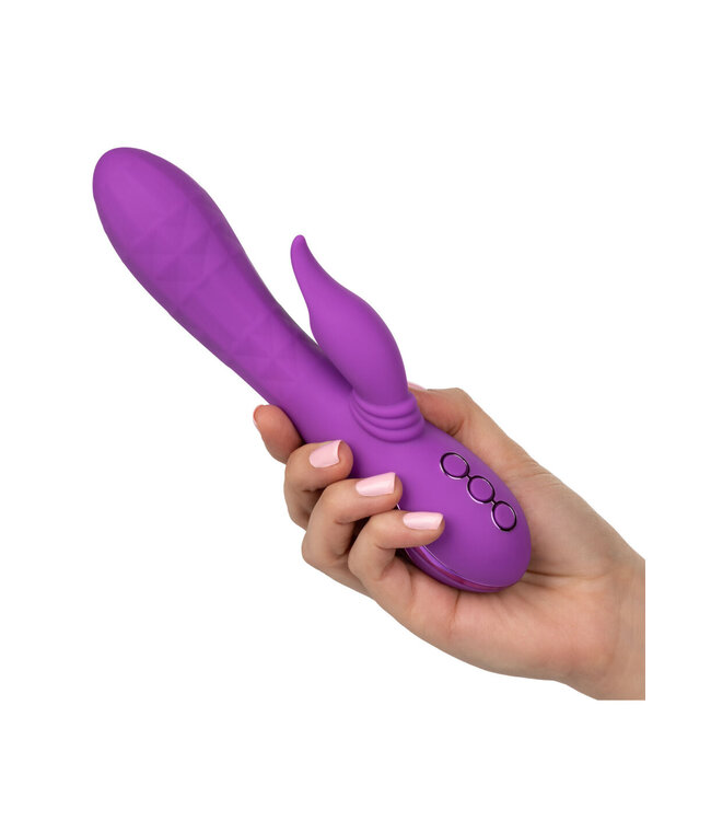 CalExotics California Dreaming Valley Vamp