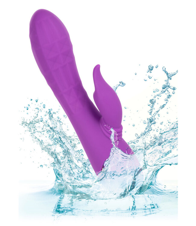 CalExotics California Dreaming Valley Vamp