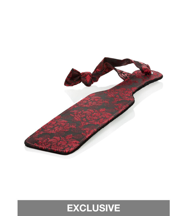 CalExotics Scandal Paddle