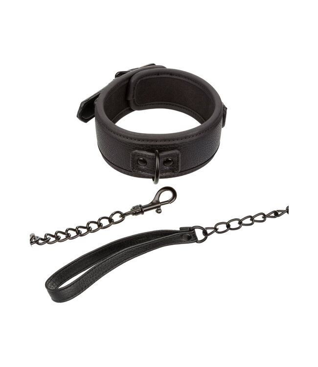 CalExotics Nocturnal Collection  Collar & Leash