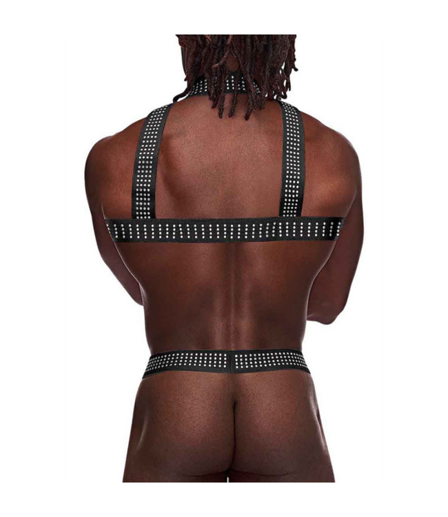 Elastic Harness with Studs - One Size - Black
