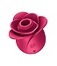 Satisfyer SATISFYER PRO 2 MODERN ROSE