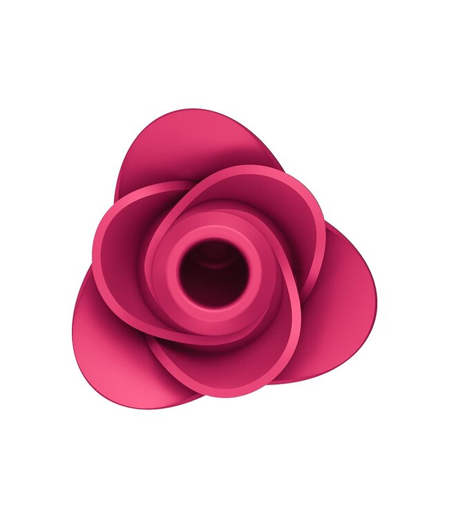 SATISFYER PRO 2 MODERN ROSE