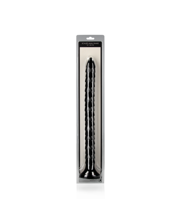 Scaled Anal Snake - 16''/ 40 cm