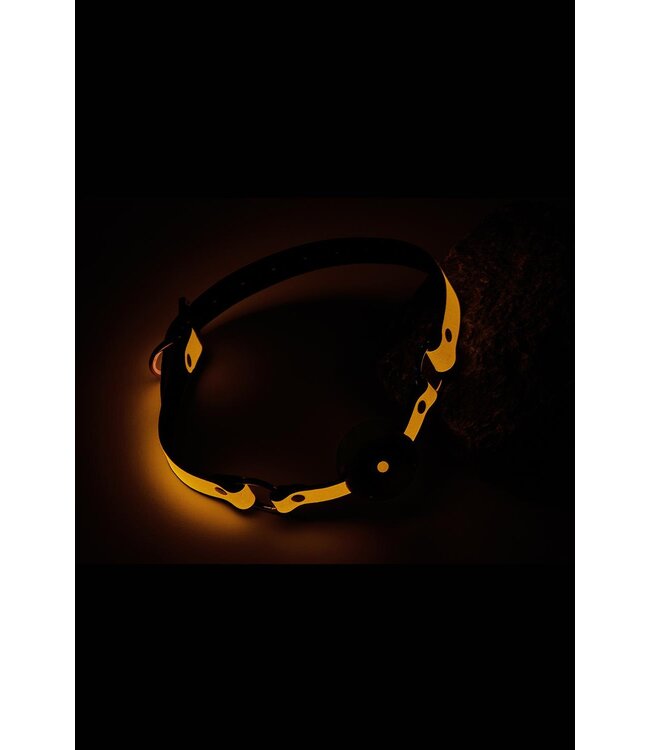 RADIANT BALL GAG GLOW IN THE DARK ORANGE