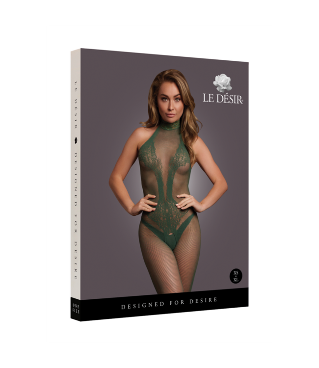 Fishnet and Lace Bodystocking - One Size