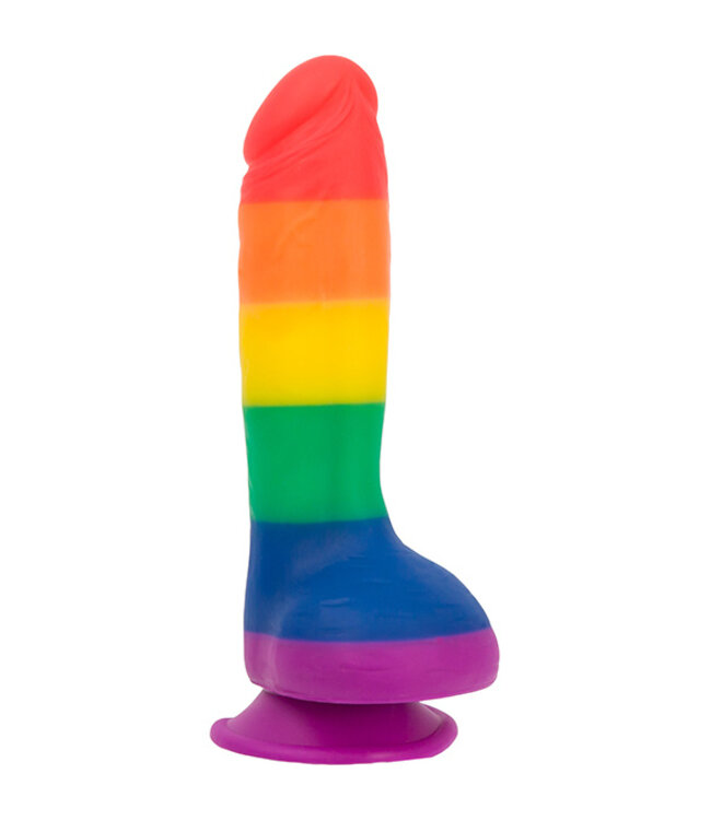 Addiction - Justin 20 cm Dong Regenboog
