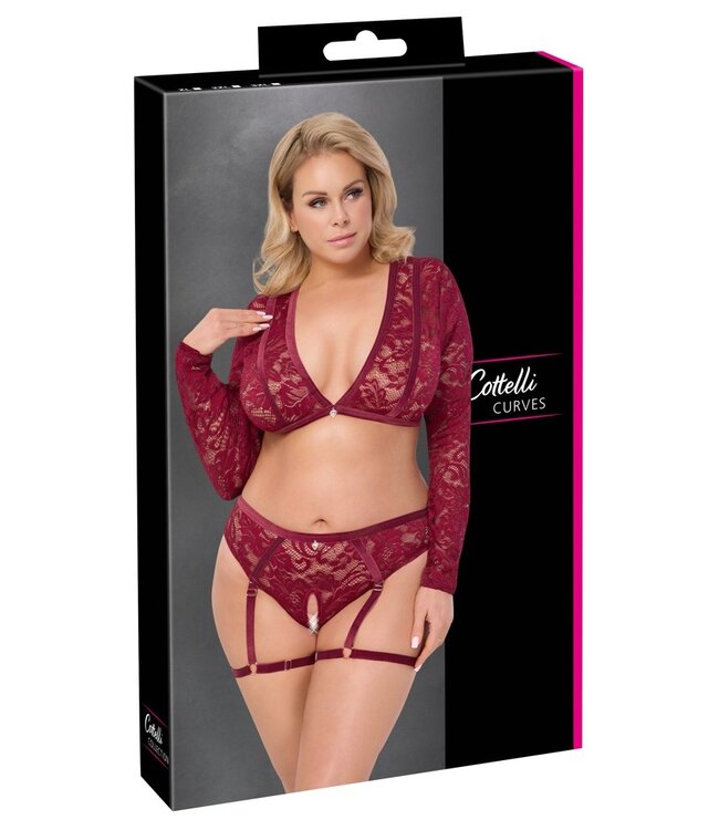 Red Lace Top And Briefs Set