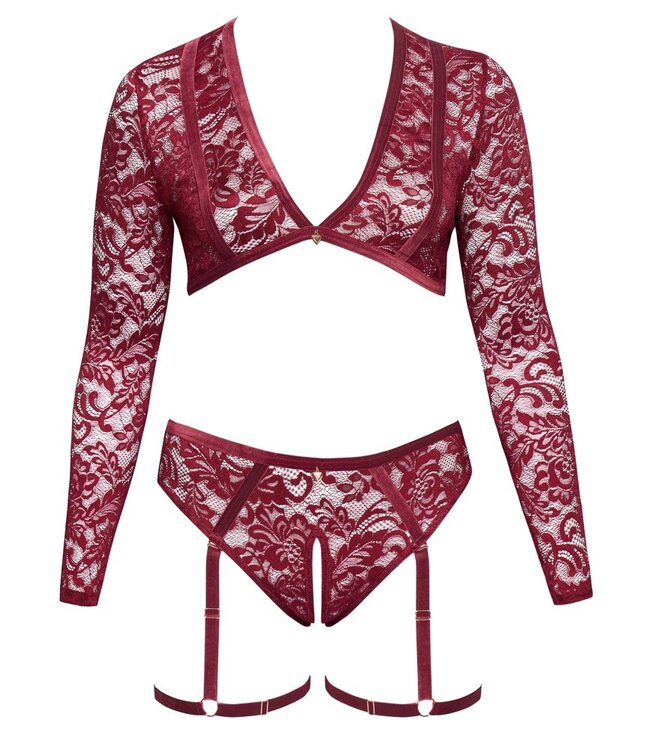 Red Lace Top And Briefs Set