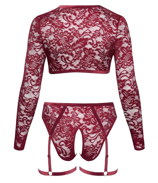 Red Lace Top And Briefs Set