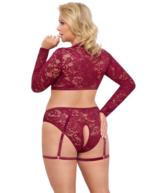 Red Lace Top And Briefs Set