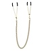VIRGITE NIPPLE CLAMPS WITH CHAIN