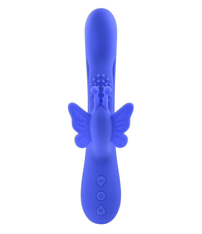 EVOLVED BUTTERFLY DREAMS