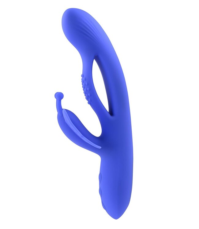 EVOLVED BUTTERFLY DREAMS