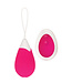 Evolved EVOLVED RECHARGEABLE REMOTE CONTROL EGG PINK