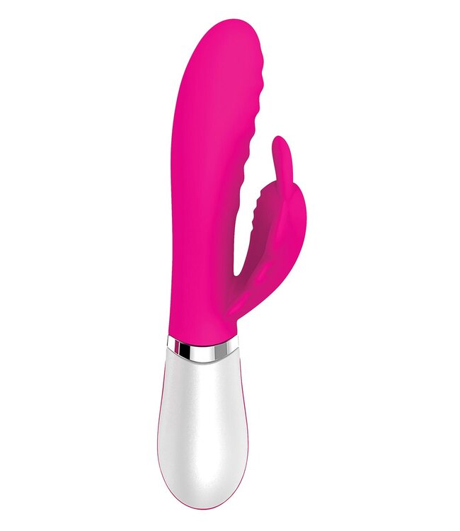 EVOLVED WINGS OF DESIRE