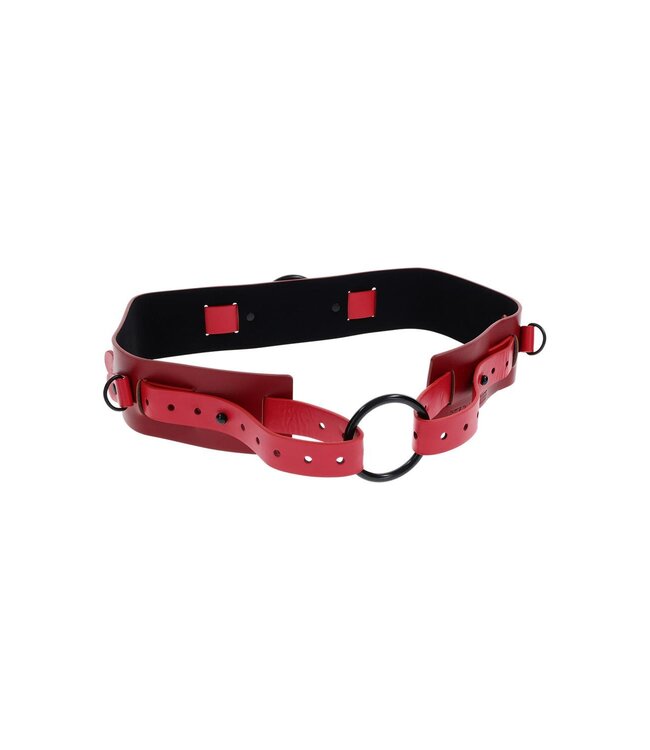 SPORTSHEETS EX'S AND OH'S BOUND AND BELTED