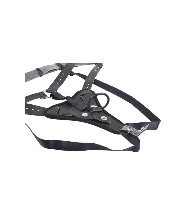 SPORTSHEETS AURORA HIGH WAISTED STRAP ON