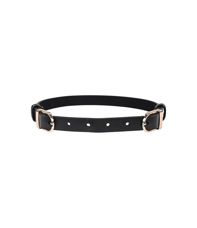 SEX AND MISCHIEF DOUBLE BUCKLE DAY COLLAR
