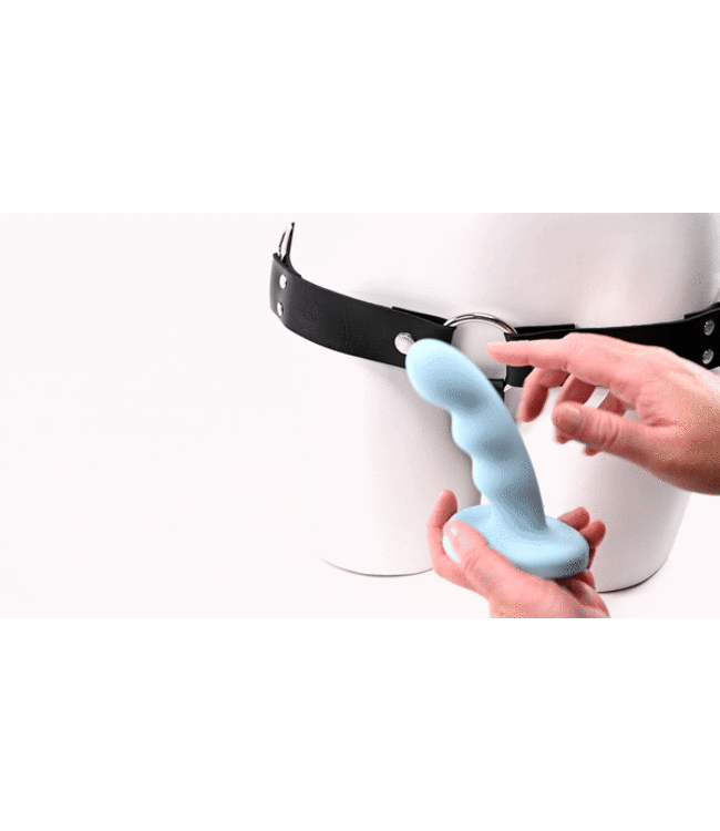 SPORTSHEETS JASPAR 6 INCH SUCTION CUP