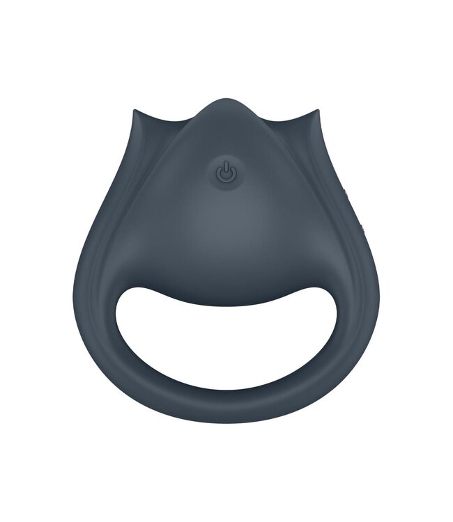 SATISFYER PERFECT PAIR 2