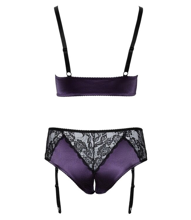 Curvy Purple Lace Jarretel Set