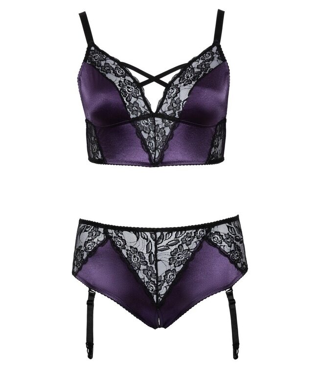 Curvy Purple Lace Jarretel Set