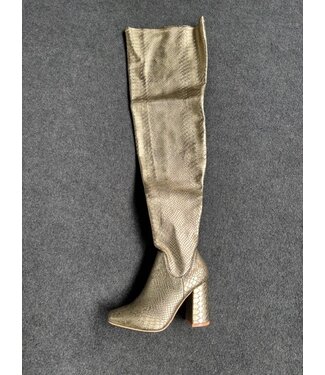 Stringpoint Overknees Reptile Boots - Gold