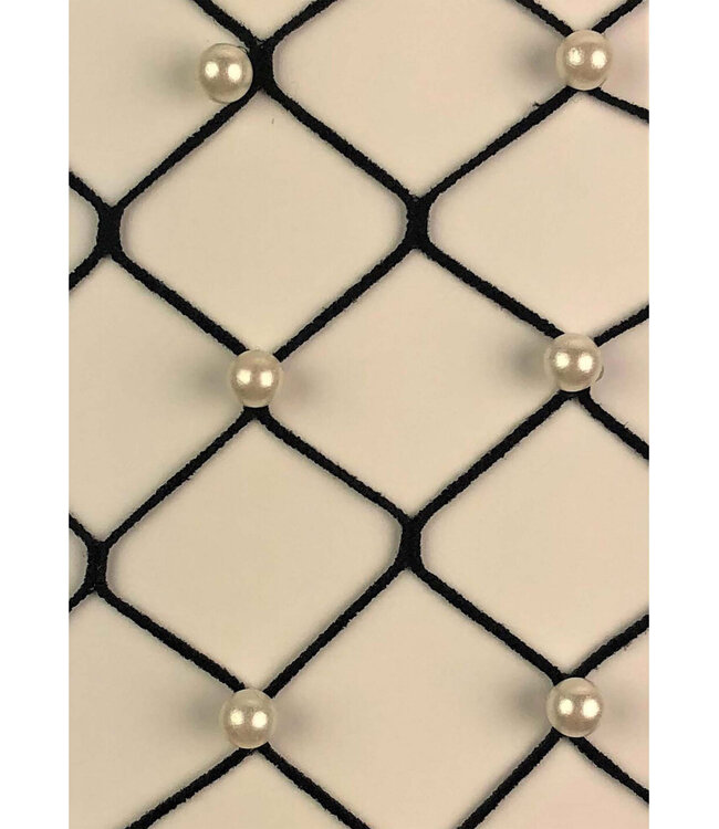 Leg Avenue Faux pearl fence net tights
