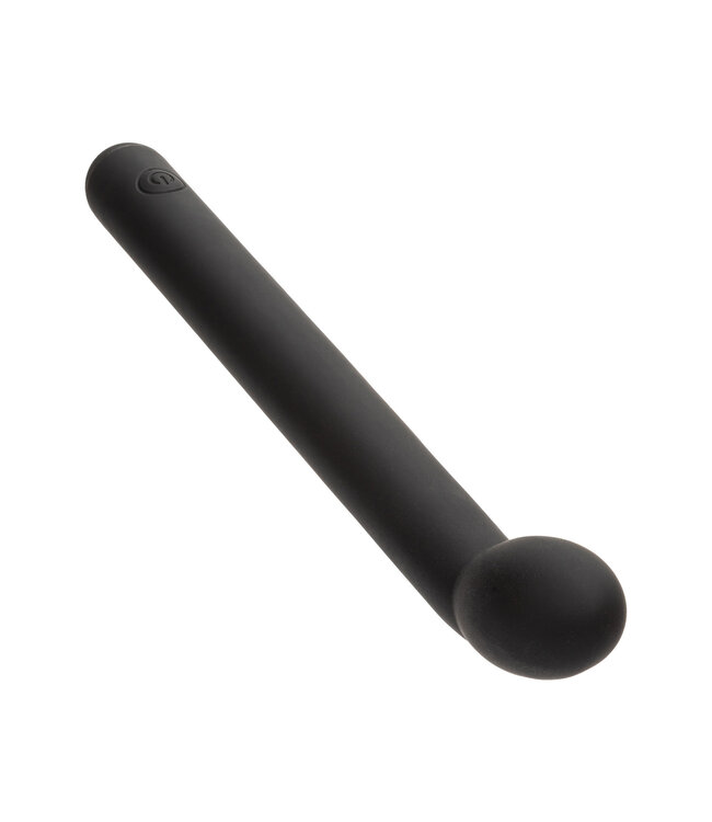 CalExotics Dr. Joel Kaplan Prostate Massager