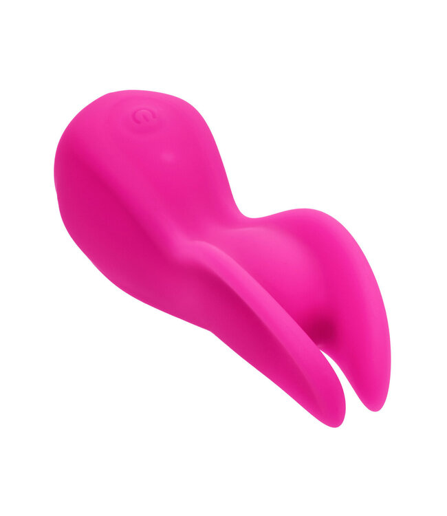 CalExotics Cascade Flutter