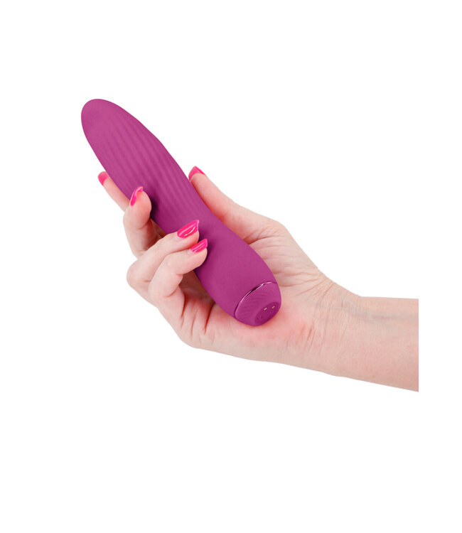 NS Novelties Obsessions Clyde