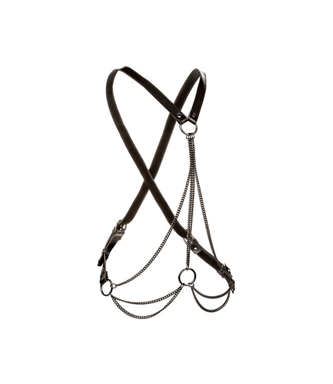 CalExotics Euphoria Collection Multi Chain Harness