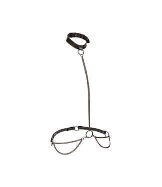 CalExotics Euphoria Collection Plus Size Chain Halter/Collar & Leash