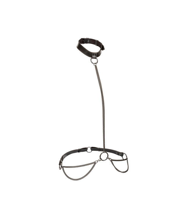 CalExotics Euphoria Collection Plus Size Chain Halter/Collar & Leash