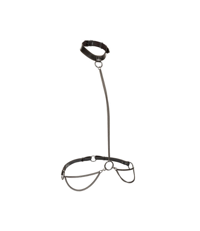 CalExotics Euphoria Collection Chain Halter/Collar & Leash